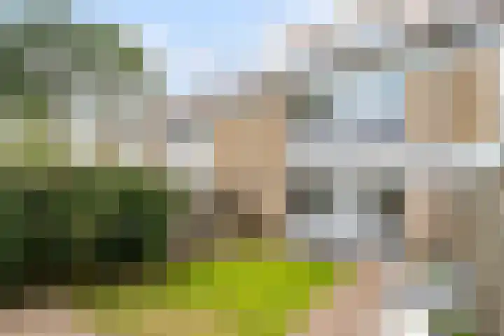 Bijvang 26 Breda thumbnail 32