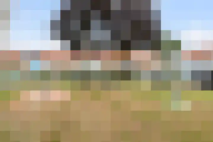 Bijvang 26 Breda thumbnail 33