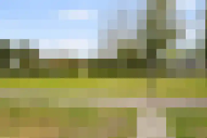 Bijvang 26 Breda thumbnail 34