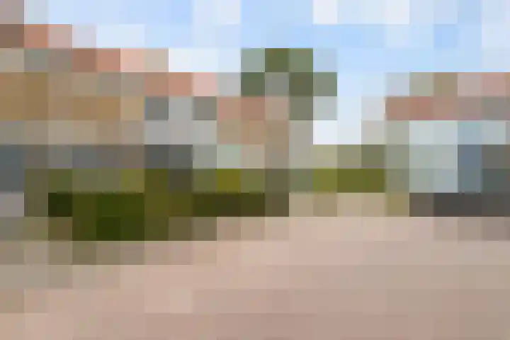 Bijvang 26 Breda thumbnail 36