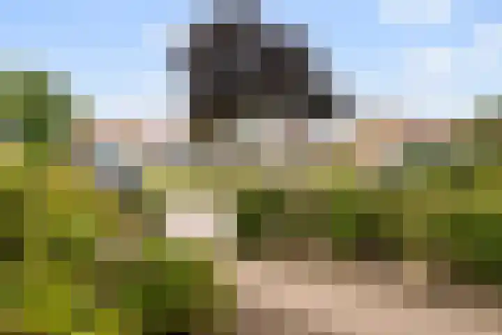 Bijvang 26 Breda thumbnail 4