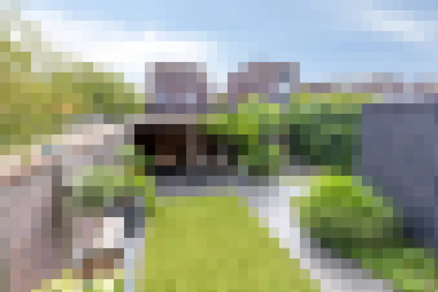 Bijvang 30 Etten-Leur thumbnail 23
