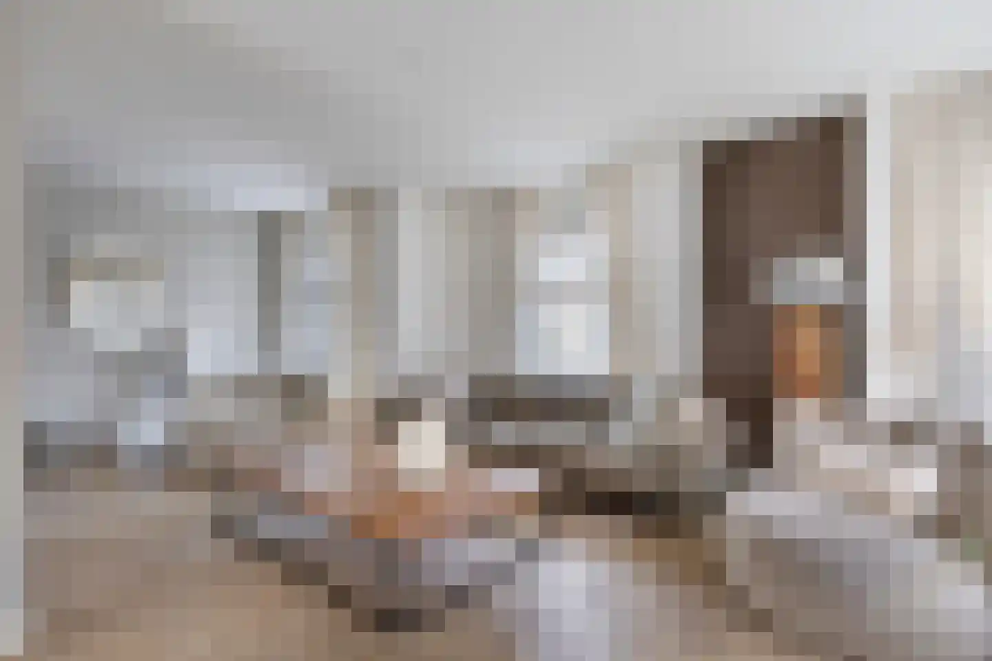 Bijvang 30 Etten-Leur foto 3