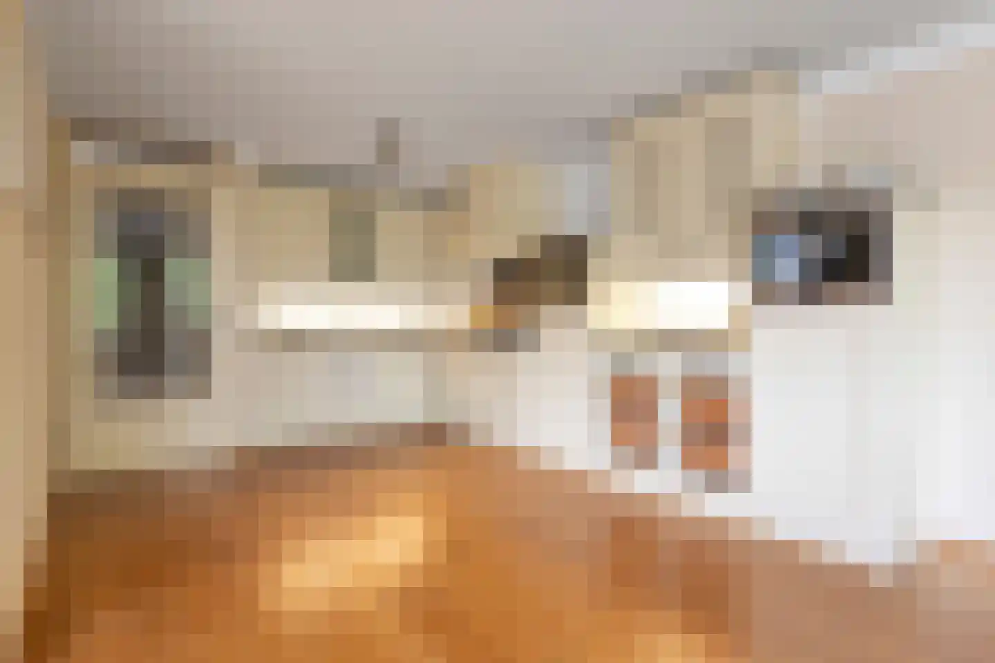 Bijvang 6 Etten-Leur thumbnail 11