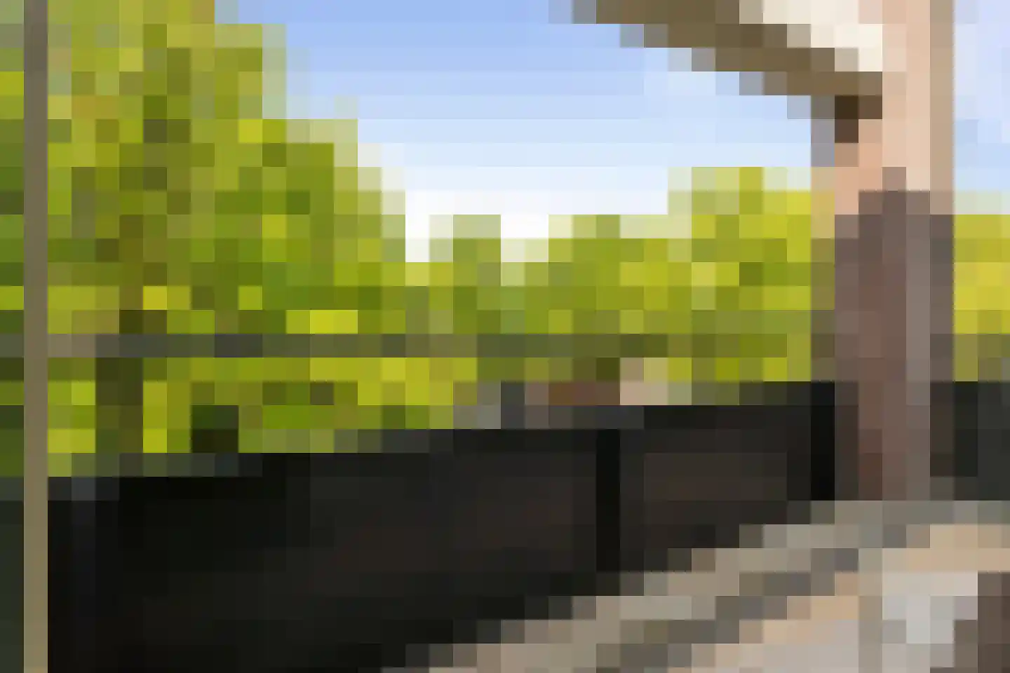 Bijvang 6 Etten-Leur thumbnail 20