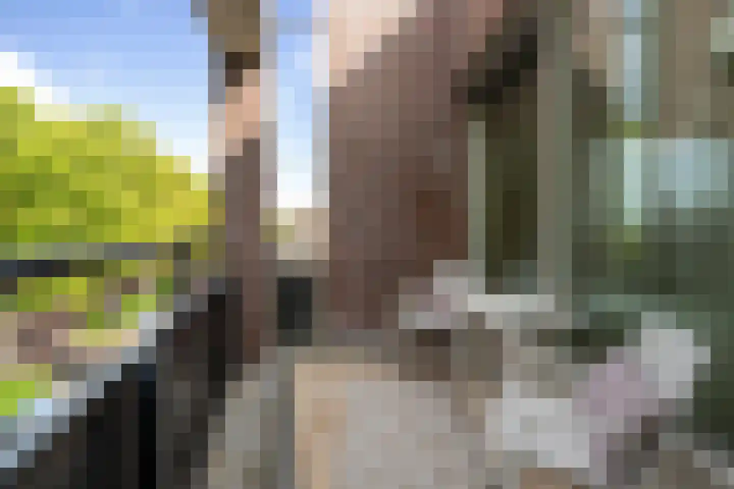 Bijvang 6 Etten-Leur thumbnail 21