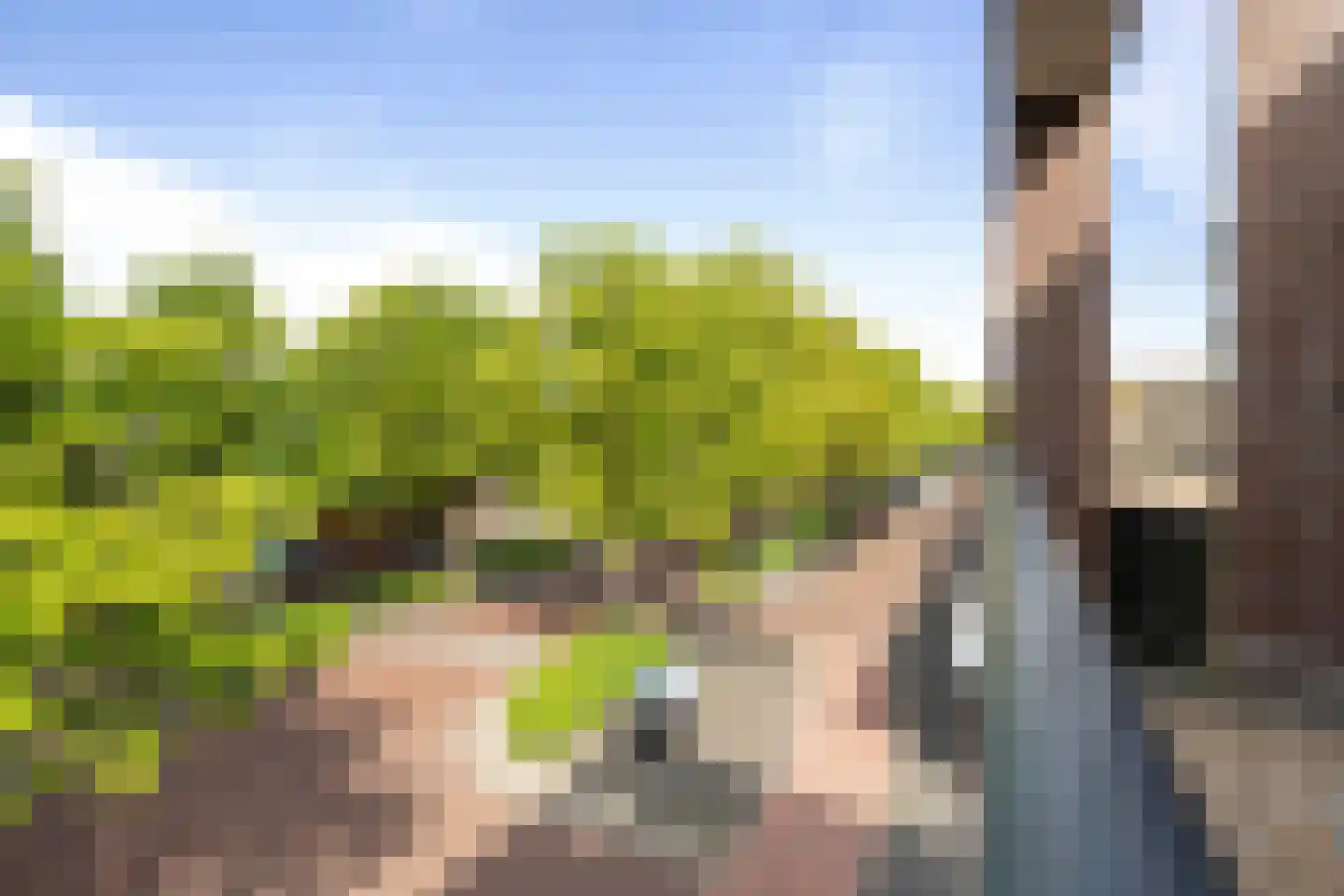 Bijvang 6 Etten-Leur thumbnail 23