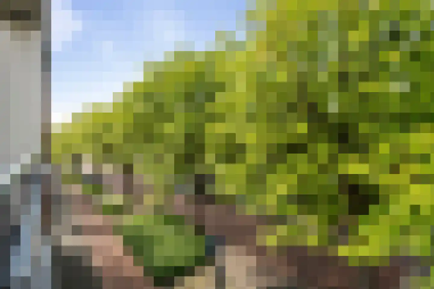 Bijvang 6 Etten-Leur thumbnail 24
