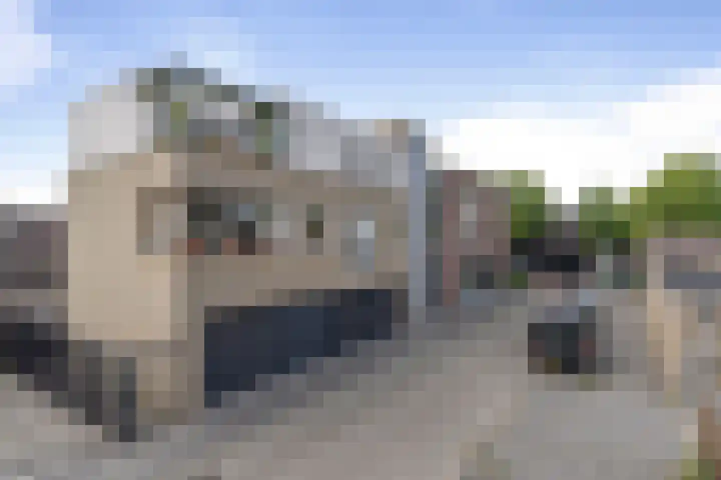 Bijvang 6 Etten-Leur thumbnail 30