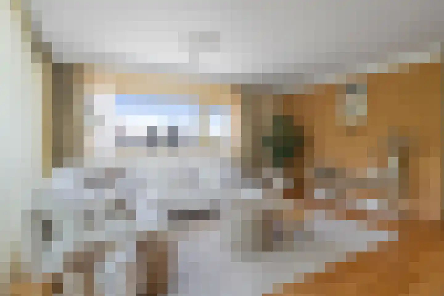 Bijvang 6 Etten-Leur thumbnail 5
