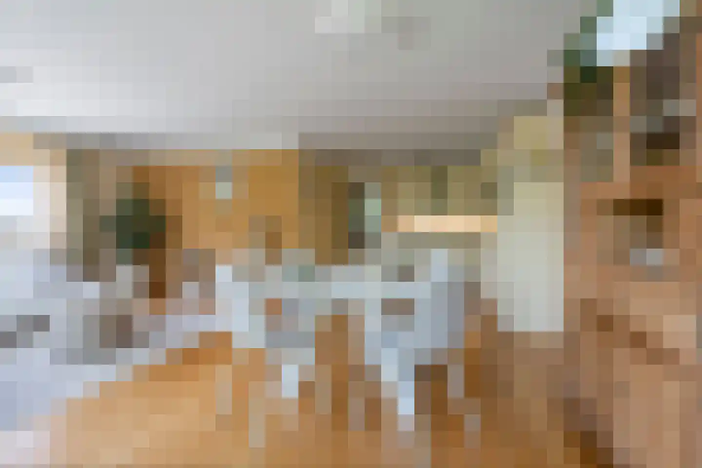 Bijvang 6 Etten-Leur thumbnail 8