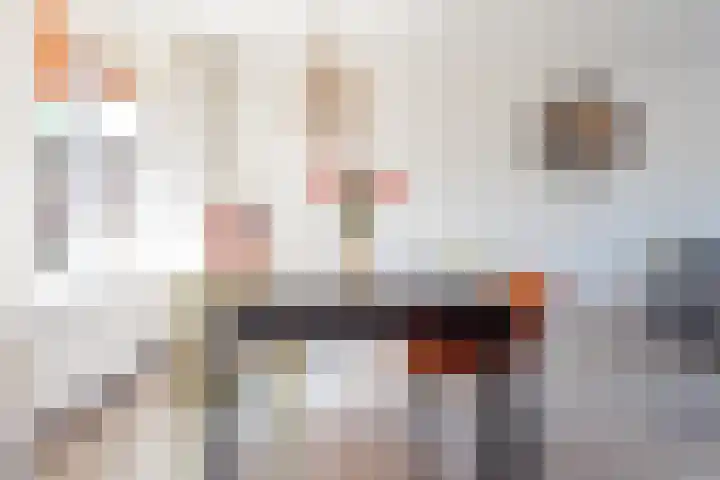 Bijvankskamp 14 Dinxperlo thumbnail 14