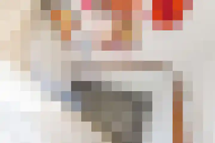 Bijvankskamp 14 Dinxperlo thumbnail 23