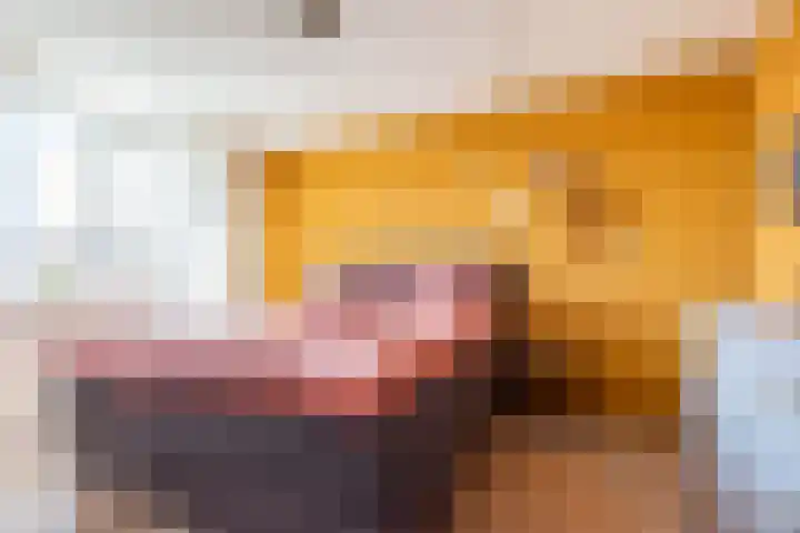 Bijvankskamp 14 Dinxperlo thumbnail 25