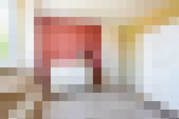 Bijvankskamp 14 Dinxperlo thumbnail 28