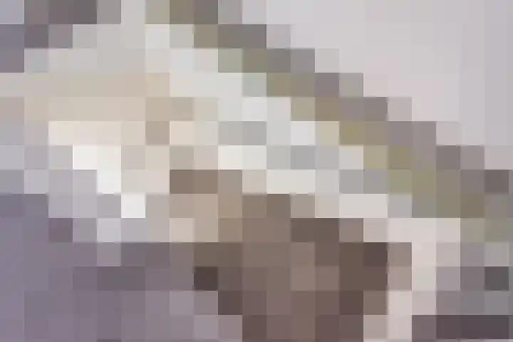 Bijvankskamp 14 Dinxperlo thumbnail 34