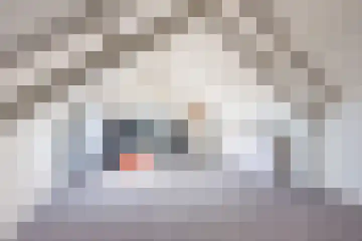 Bijvankskamp 14 Dinxperlo thumbnail 35