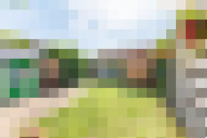 Bijvankskamp 14 Dinxperlo thumbnail 38