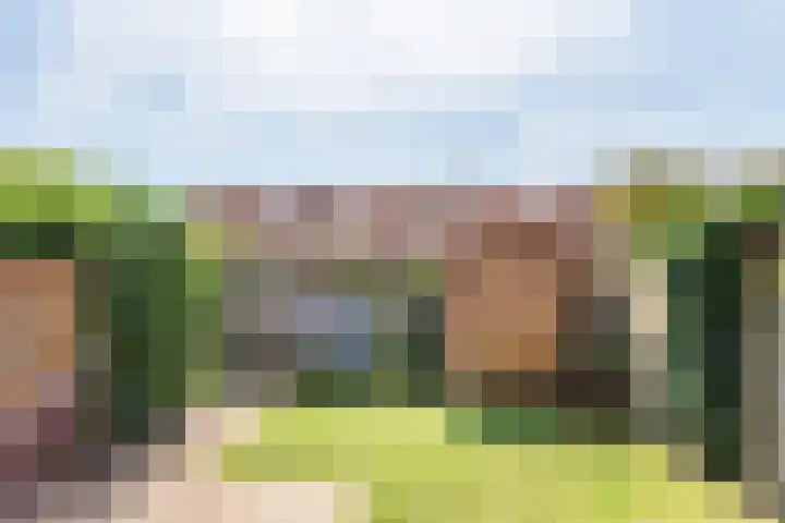 Bijvankskamp 14 Dinxperlo thumbnail 39
