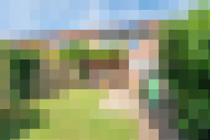 Bijvankskamp 14 Dinxperlo thumbnail 41