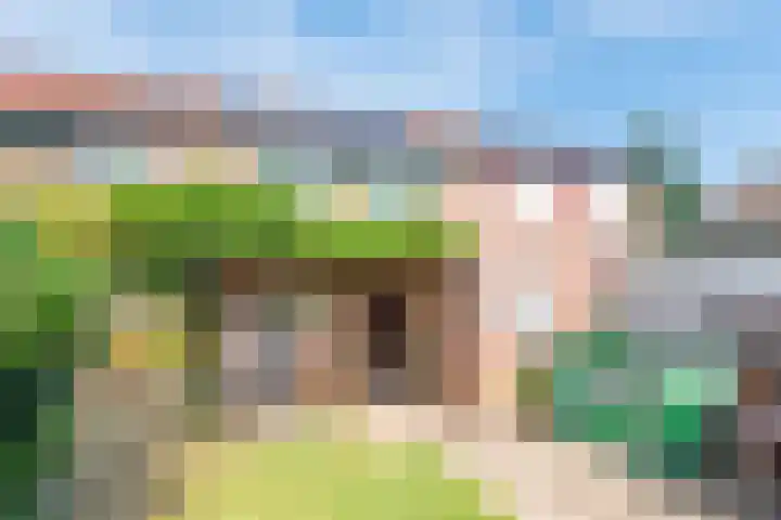 Bijvankskamp 14 Dinxperlo thumbnail 42