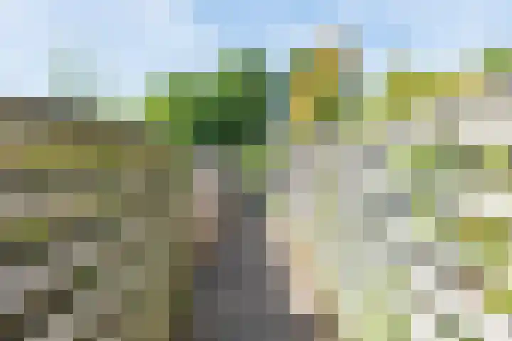 Bijvankskamp 14 Dinxperlo thumbnail 44