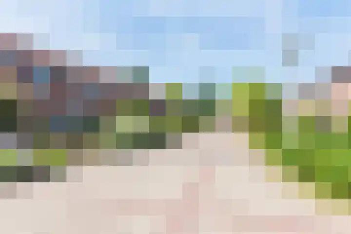 Bijvankskamp 14 Dinxperlo thumbnail 45