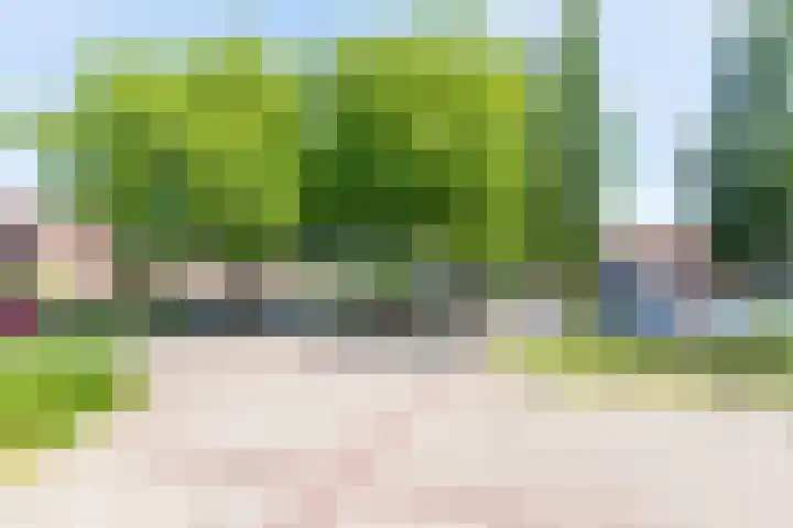 Bijvankskamp 14 Dinxperlo thumbnail 46