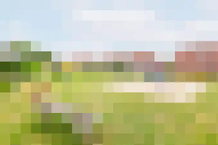 Bijvankskamp 14 Dinxperlo thumbnail 47