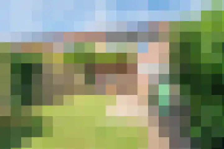 Bijvankskamp 14 Dinxperlo thumbnail 5