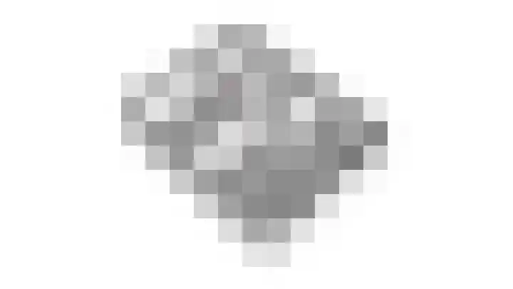Bijvankskamp 14 Dinxperlo thumbnail 55