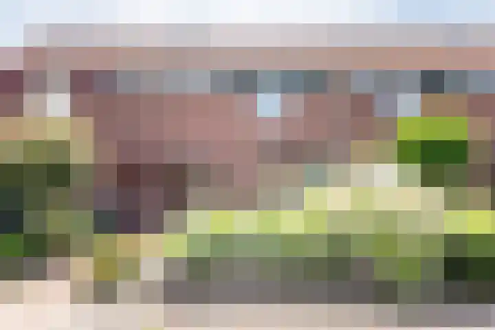 Bijvankskamp 14 Dinxperlo thumbnail 6
