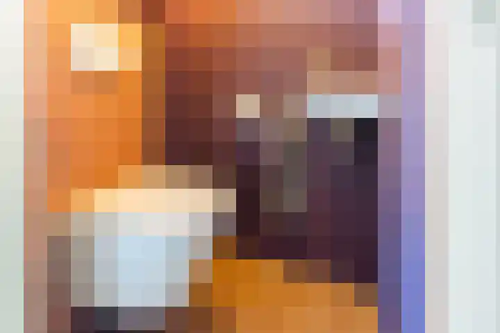Bijvankskamp 14 Dinxperlo thumbnail 9