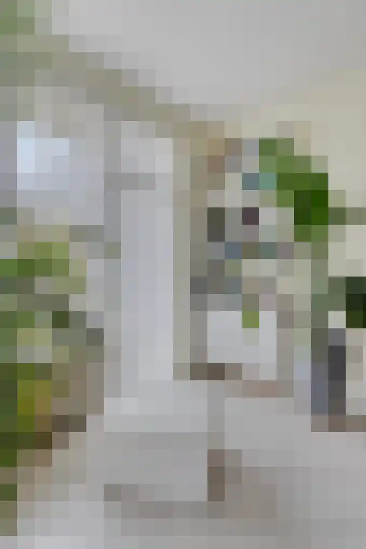 Bijvoet 6 Brunssum thumbnail 10
