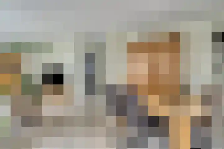 Bijvoet 6 Brunssum thumbnail 11