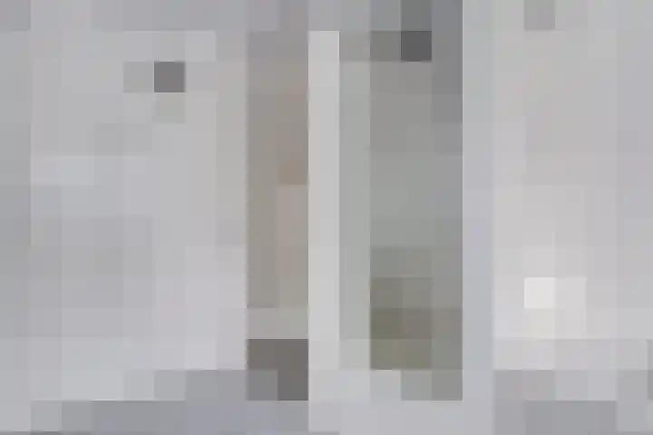 Bijvoet 6 Brunssum thumbnail 25