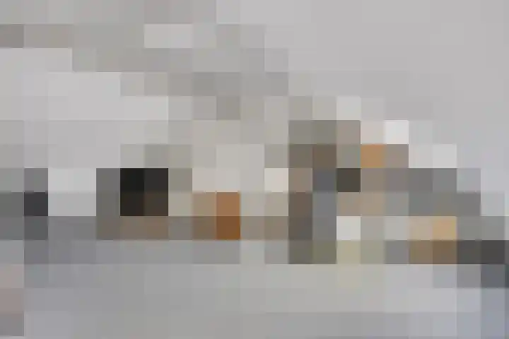 Bijvoet 6 Brunssum thumbnail 37