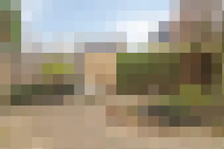 Bijvoet 6 Brunssum thumbnail 41