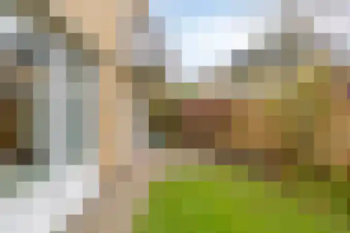 Bijvoet 6 Brunssum thumbnail 42