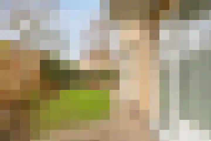 Bijvoet 6 Brunssum thumbnail 45