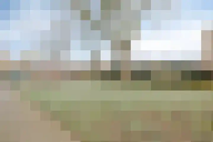 Bijvoet 6 Brunssum thumbnail 50