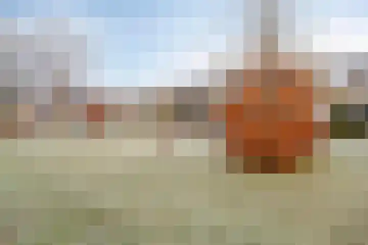 Bijvoet 6 Brunssum thumbnail 51