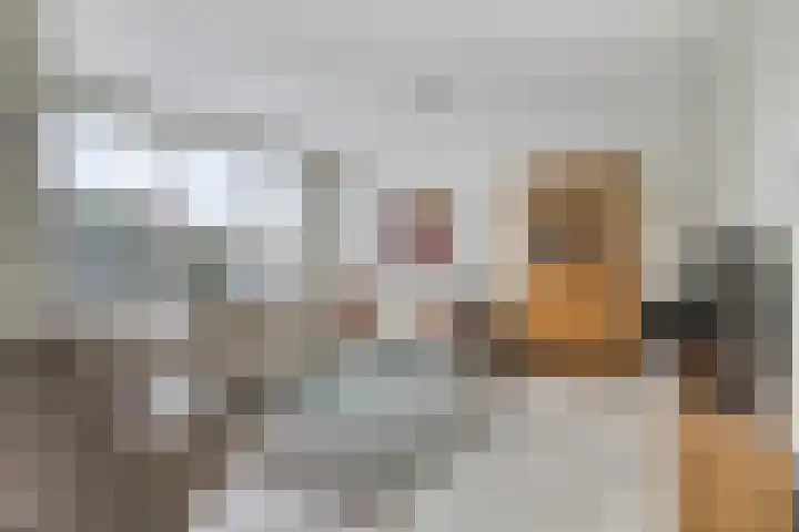 Bijvoet 6 Brunssum thumbnail 7
