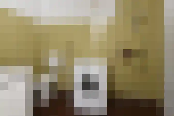 Bijvoet 62 Uithoorn thumbnail 11