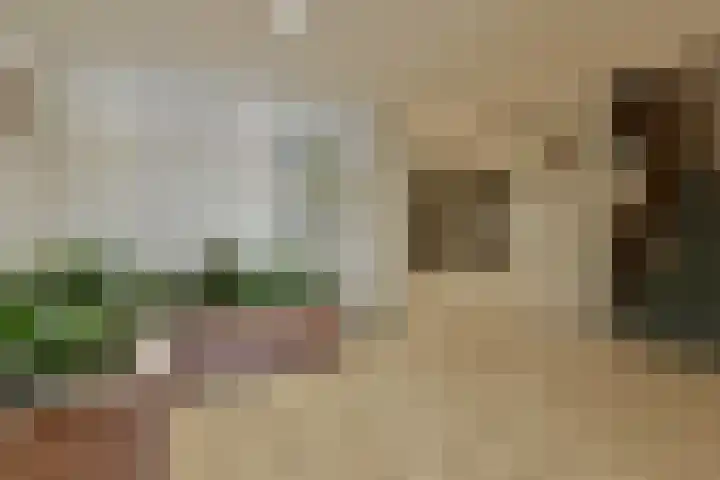 Bijvoet 62 Uithoorn thumbnail 16
