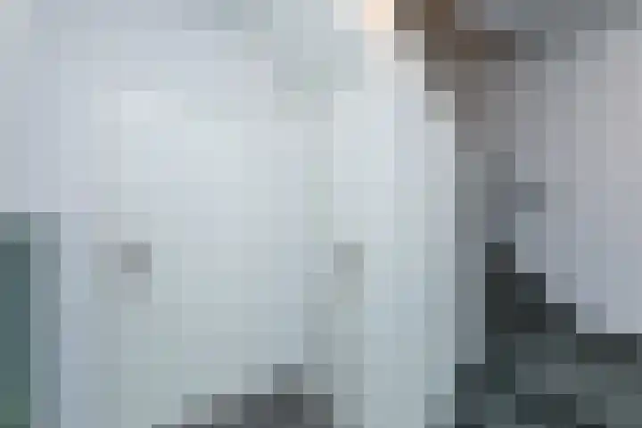 Bijvoet 9 Brunssum thumbnail 24