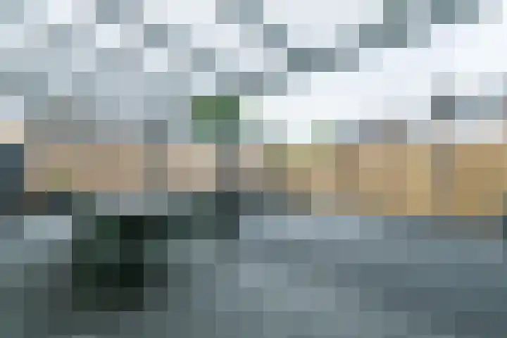 Bijvoet 9 Brunssum thumbnail 44
