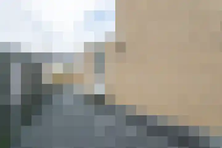 Bijvoet 9 Brunssum thumbnail 48
