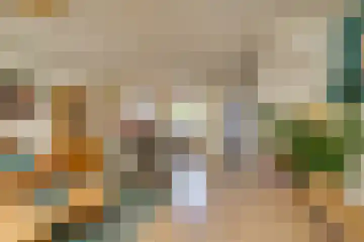 Bijvoetplan 23 Zoetermeer thumbnail 11