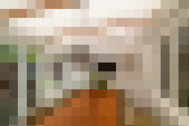 Bijvoetplan 23 Zoetermeer thumbnail 17